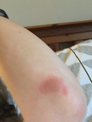 The Friendly Frugaleers, halfway through June!