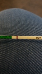Can you see the line