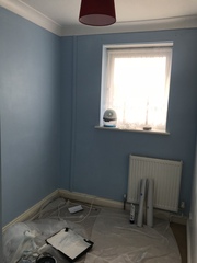 August 2018 #6 - Impending Births and The Final Push!