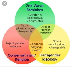 Historically Claiming People as Trans