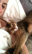 Does your dcat share your bed?