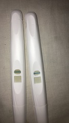 TTC after pregnancy loss- thread 23 🐧🐧