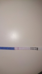 Could it be a line?! Opinion please!