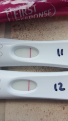 TTC after pregnancy loss - thread 24 🐧🐧