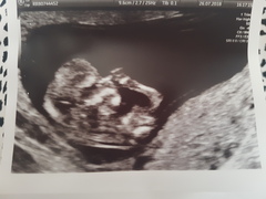 February 2019 part 4