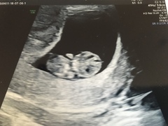 February 2019 part 3