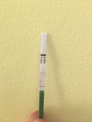 What does this OPK mean? (Picture)