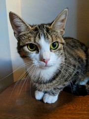 New girl settling so well - with photos