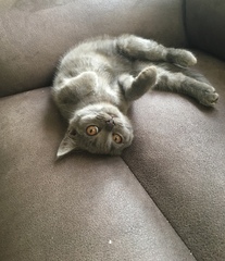 Meet the new kid on the block!