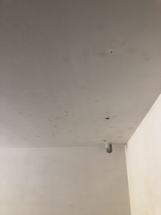 Is this damp in my unfinished new build?