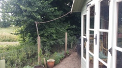 Allotment/Veg Patch Thread 12! Plotmenters hoping for better weather