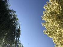 Have you seen the weather forecast for next week?!