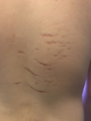 Anyone got any ideas what these marks are