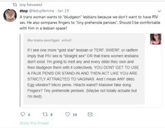 Lesbians react to London Pride