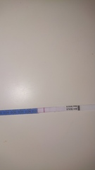 Could it be a line?! Opinion please!
