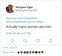 To post on trans issues in the Feminist Chat forum?