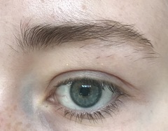 Please help me get nice eyebrows!