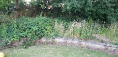 Flower bed from hell
