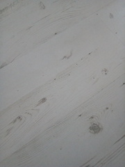 The Friendly Frugaleers: Saving and chatting as the heatwave rolls on.