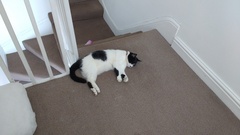Too hot!