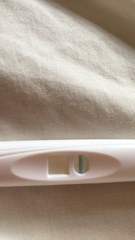 TTC after pregnancy loss- thread 23 🐧🐧