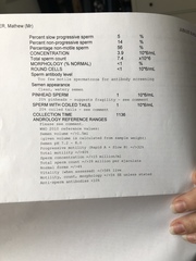 Can anyone decifer these SA results? feeling so lost