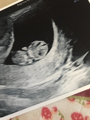 February 2019 part 3