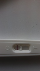 Can you see the line