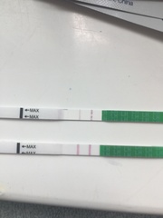 Is this a positive OPK?