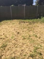 Advice needed for completely starting my garden from scratch