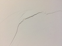 Any plasterers or experts who could tell me why these cracks have suddenly appeared?