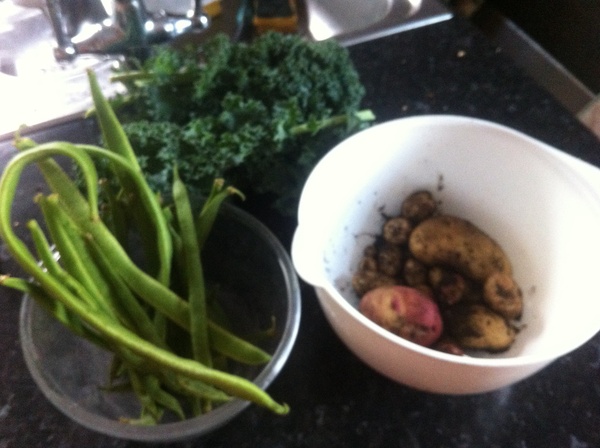 Allotment/Veg Patch Thread 12! Plotmenters hoping for better weather