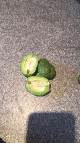 What are these?