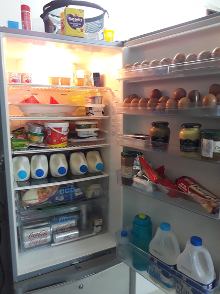 Look at my healthy fridge (photo included)