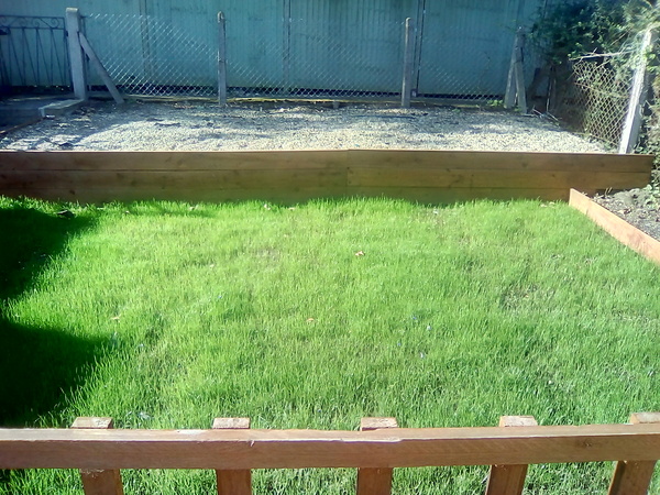 GCSEs 2018 (18) Well that's all over, let's get the party started