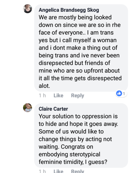 Collating evidence of threats against women, by TRAs.