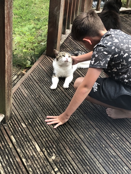 Animal advice needed