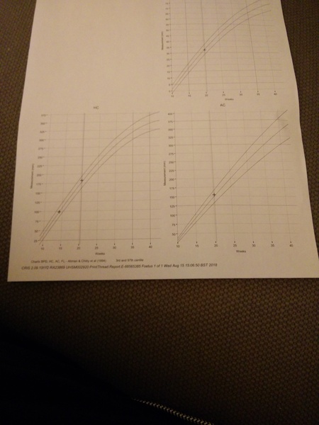 Can anyone tell me what these scan graphs mean?