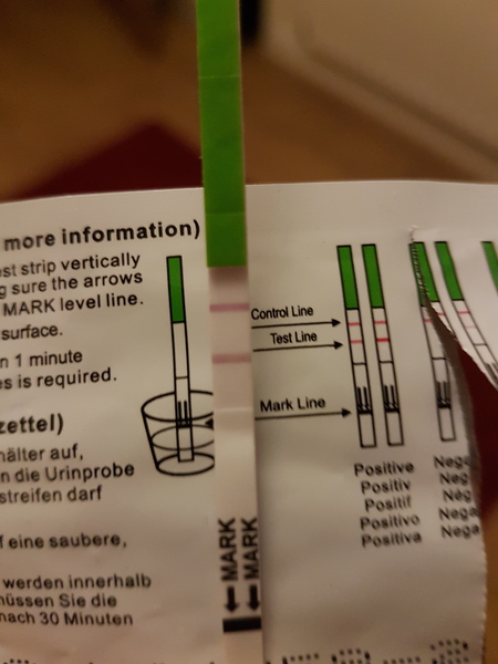 Cheap home OPK sticks