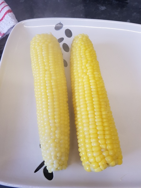 Allotment?Veg Patch Thread 13! Are we weathering the weather?