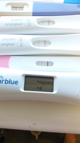 Pregnancy after loss: spring 2019 edition (The Brexit Babes) 🐧