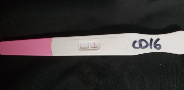 OPK confusion?!?!