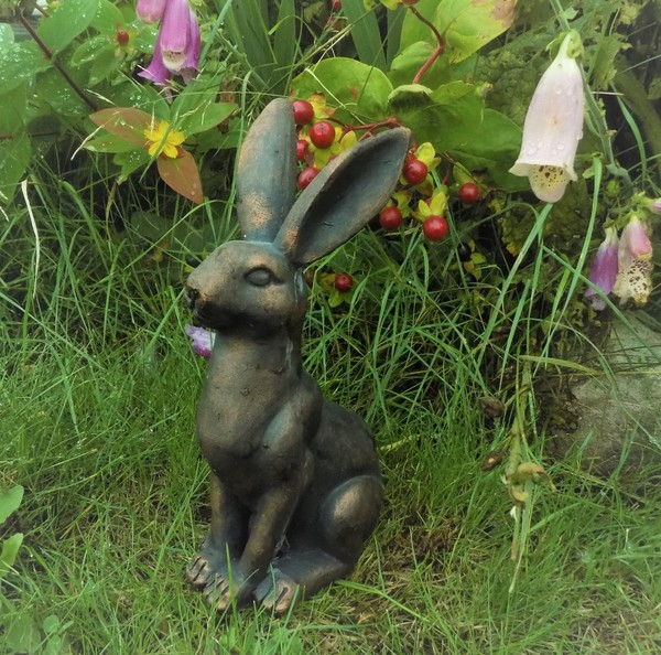 Any Witches Here ? Part 2