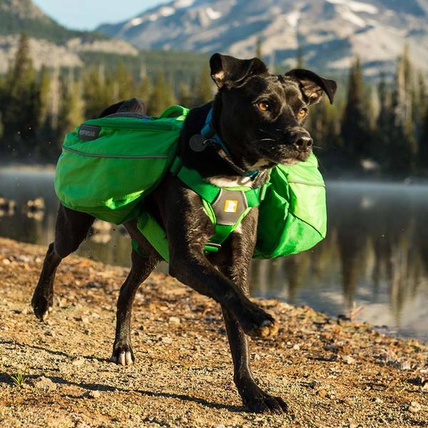 To firmly resist dh's plan to carry all the camping equipment on the three day hike he has planned for the BH?