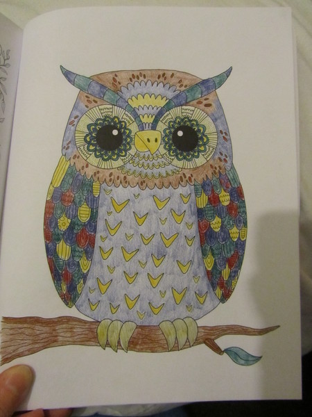 The Friendly Frugaleers: Saving and chatting as the heatwave rolls on.