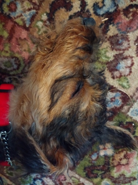 Dark and stormies all round! Bluestocking piss up