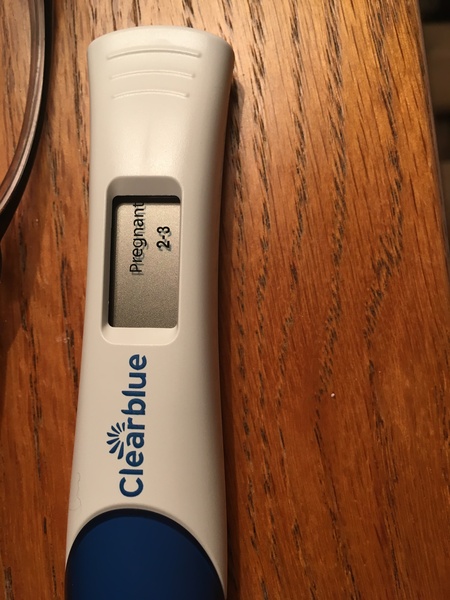 May 2019 (or late April 2019) due date