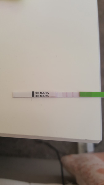 Positive opk after miscarriage