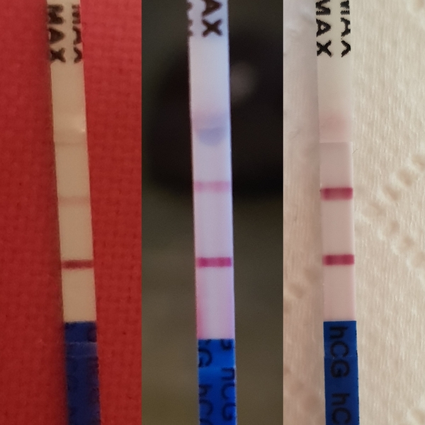 Due May 2019