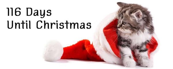 To think Christmas talk/problems/logistics in AUGUST is OTT